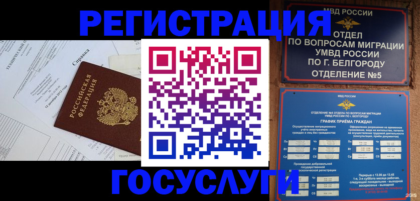временная прописка в Зернограде